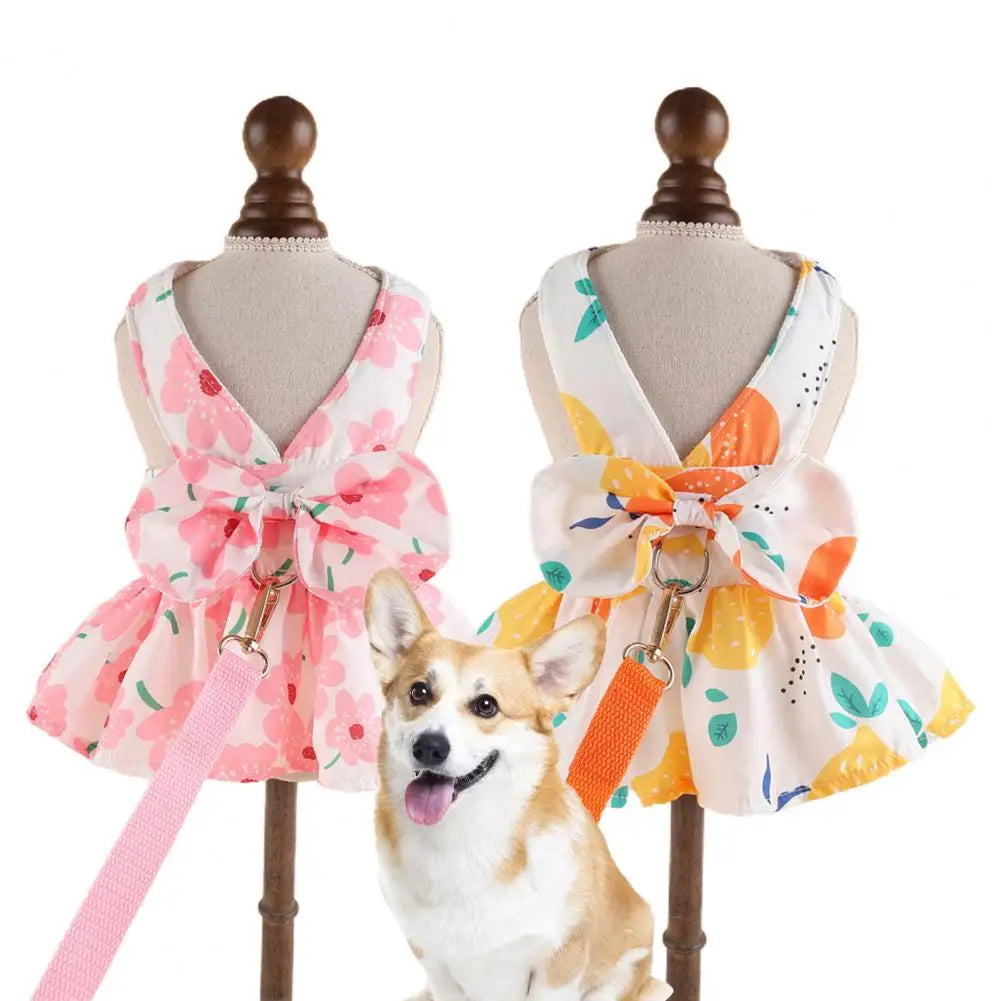 Cute Dog Dress Summer Outdoor