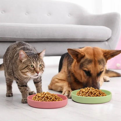 Silicone Pet Dog Feeding Bowl