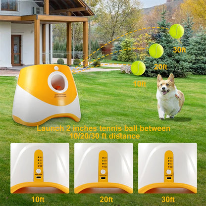 Dog Tennis Launcher Automatic Pet